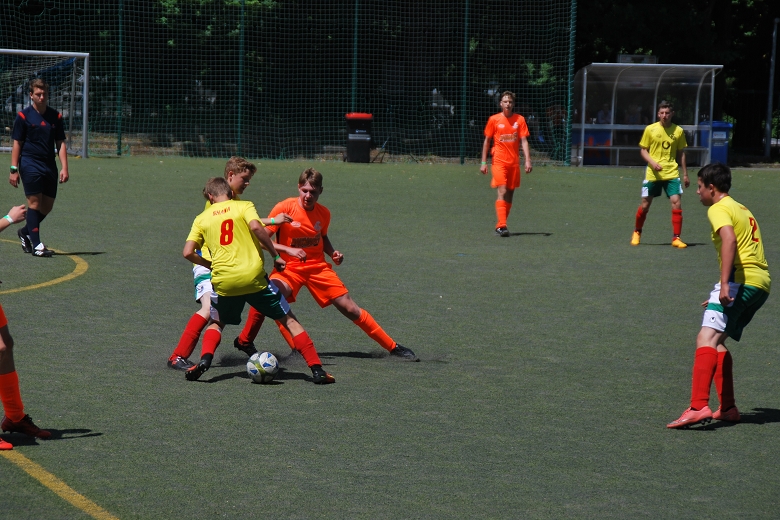 780x520SZ Fan WM C  18.6 (202).JPG